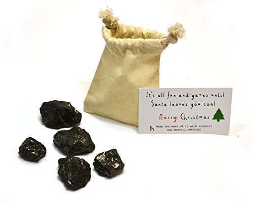 Santa's Scientific - Carbón navideño de alta calidad, bolsa de algodón y 5 pequeños bultos (1 x 1 x 1 aprox. - Tamaño mediano de mármol) - Carbón americano genuino - Incluye experimento