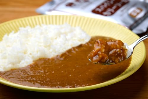 スパイシーカリー中辛(レトルト) 300g×6袋