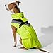 DOGOPAL Regenmantel Hund wasserdicht für kleine & große Hunde - Gelber Hunderegenmantel mit Reflektorstreifen - Wasserdichter Hundemantel, Regenschutz & Regenjacke (Gelb, XL)