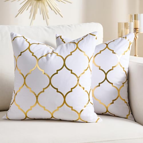 Modern Farmhouse Pillow Covers White 18x18 Decorative Gold Velvet Throw