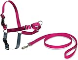PetSafe
