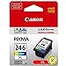 Canon CL-246 XL Genuine Color Ink Cartridge, Compatible with iP2820, MG2420/2924/2920/3020/2522/2525, MX492, TS3120/302/302a/202/202a/4520/3320