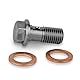 Precisiongeek Hohlschraube M10x1,25mm Edelstahl Bremssattel/Hauptzylinder L = 22mm
