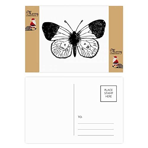 Cartes de remerciement papillon blanc lot de 20 pour remerciements invités
