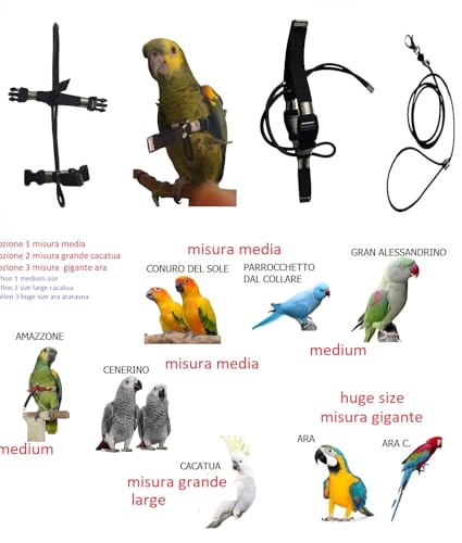 Arnés mediano para loros y cacatúas con enganches ajustables negros 3