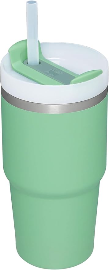 CPENSUS tumbler with lid and straw 1200ML cup Stainless Steel Vacuum Insulated Tumbler for Water, Iced Tea or Coffee 1.2L Office Gym Travelling (LIGHT GREEN - 20 oz)
