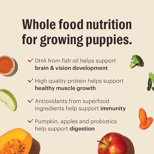 Image of The Honest Kitchen Whole Food Clusters Puppy Grain Free Chicken Dry Dog Food, 20 lb Bag