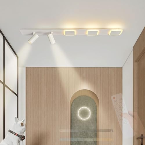 Fer Spot de Plafond Noir au Design Moderne Orientable