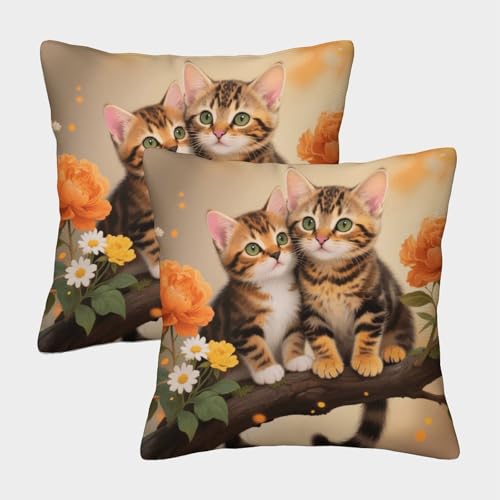 Funda De Cojín con Gatito Americano de Pelo Corto Atigrado Juego De 2, Microfibra Suave Funda De Almohada con Cremallera Oculta, Fundas Decorativas para Sofá Coche Cama Sillas, 50x50cm