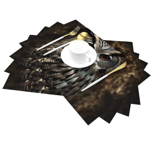 Set de table vinyle hibou isolant thermique et lavable pour table de salle