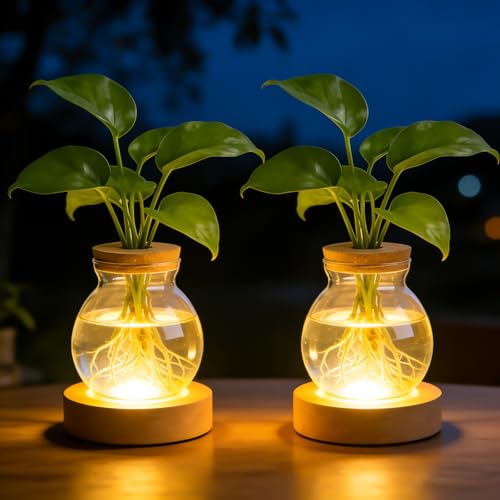 2 pièces Vase lumineuse en verre, station de propagation pour plantes hydroponiques, vase à...
