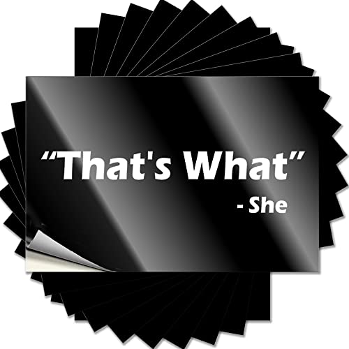 Funny Car Decals That's What She Said Funny Sticker 10 Pcs Tool Stickers Funny Stickers for Cars(12X18CM)