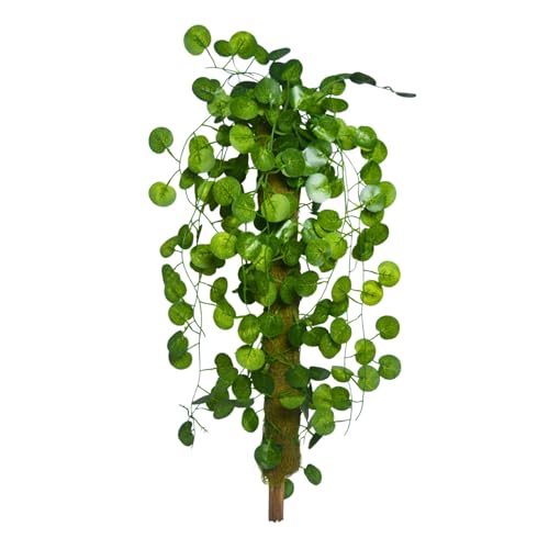 Image of fancymart Artificial Green Leaf Hanging Creeper on Moss Stick (Without Pot) - 60 cm Tall Hanging Creeper Plant for Indoor Home, Office, Restaurant & Cafe Decoration