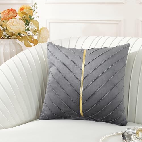 TAOSON Gray/Grey Velvet Throw Pillow Covers,Pack of 2 with Gold L...