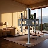 ✦【Large compatibilité】: Qu'il s'agisse d'un téléviseur de 32 ou 65 pouces, ce support TV est facile à utiliser. Sa capacité de charge maximale est de 45 kg et prend en charge un espacement des trous de 400 x 400 mm, ce qui simplifie et facilite l'installation de votre téléviseur.