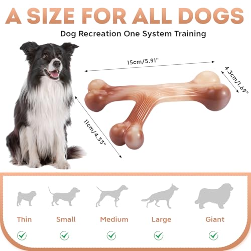Hundeknochen Unzerstörbares Kauspielzeug für Hunde, die es lieben zu kauen, langlebige Nylonknochen, Welpenspielzeug, Zahnreinigung, für mittlere und große Haustiere (Y-förmig) – Bild 3