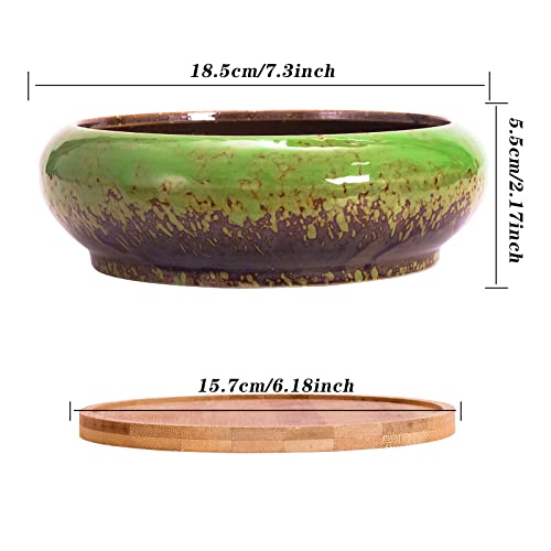 ARTKETTY Succulent Plant Pots, 2 PCS Large Bonsai Pot with Trays, Shallow Plant Pot Ceramic Pots for Indoor Cactus Flower Plants Decorative Garden Home Office