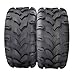 Elementool 20x10-10 ATV Tires (Pack of 2, Tubeless) - 4-Ply Durable AII-Surface Tire for Sport ATV/UTV & Go Karts, Superior Traction, Smooth Ride, Ideal for Off-Road, Trail, Rock & Desert Adventures