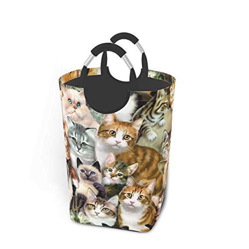 킢 qL L h[{bNX oXPbg h[ {bNX [{bNX [obO E߂ Vv ht ܂肽 IbNXtH[h e 32×28×57.5cm