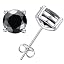 4 Prong Black