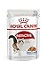 Royal Canin Instinctive Jelly | Doppelpack | 2 x 12 x 85 g | Nassfutter in Gelee für ausgewachsene Katzen | Zur Unterstützung der Harnwege und des Gewichts