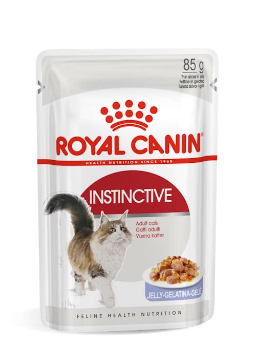 Royal Canin Instinctive Jelly | Doppelpack | 2 x 12 x 85 g | Nassfutter in Gelee für ausgewachsene Katzen | Zur Unterstützung der Harnwege und des Gewichts