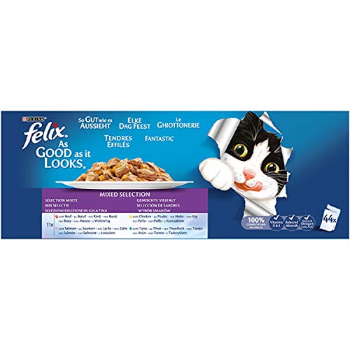Felix Katzennassfutter Gelee Gemischte Vielfalt 44 x 100 g Multipack Premium Portionsbeutel