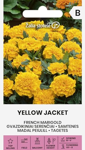 Zalia stotele | Tagetes - YELLOW JACKET Graines de fleurs | Naines, fleurs jaunes | Pour soleil ou mi-ombre | Graines de jardin | 1 sachet