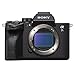 sony-a7s-iii-sony-fe-24-70mm-f-2-8-gm-ii 2