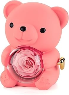 Generic Romantic Teddy Bear Jewellery Box with Crystal Globe, Rotating Design, Gift Set (pink)