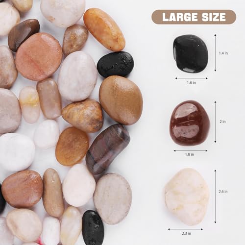 Whanley L&Q 505332 5 Lbs Natural River Rocks 2-3 Inch Polished Pebbles Decorative Stones Landscape Rocks Pebbles For Indoor Plants Rocks For Landscaping Outdoor Rocks thumb #1