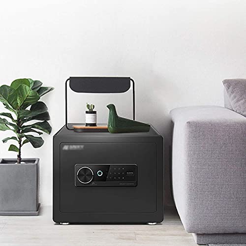 Coffre-fort biométrique à empreinte digitale : mini coffre compact tout acier - 2