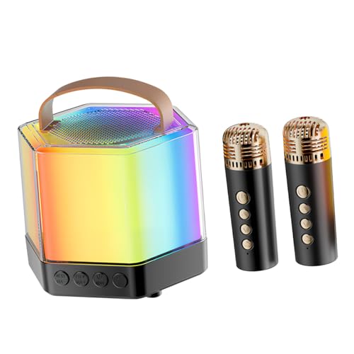 Mini machine de karaoké portable Q7 noire avec double microphone sans fil VILLCASE
