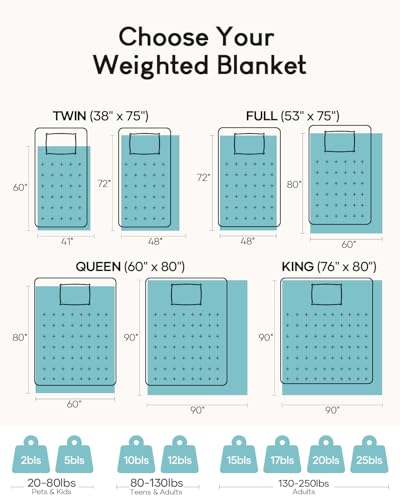 Cottonblue Weighted Blanket 15 lbs Queen Size, Flannel Shaggy Sherpa Weighted Blanket for Adults Comfortable Weighted Blankets for Calming and Relax, Bed Sofa Heavy Blankets, 60x80 inches, Purple