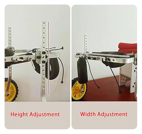 Fauteuil roulant pour pattes arrières paralysées : solution de marche 4 roues