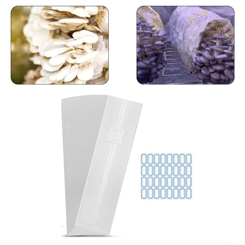 Set di 1530 sacchetti trasparenti per la coltivazione dei funghi (15 pezzi (50 x 30 cm)