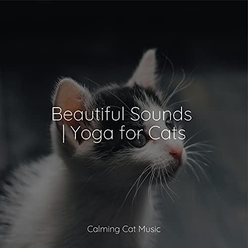 Picture of Beautiful Sounds | Yoga for Cats : Calm Music for Cats, Music for Pets ...