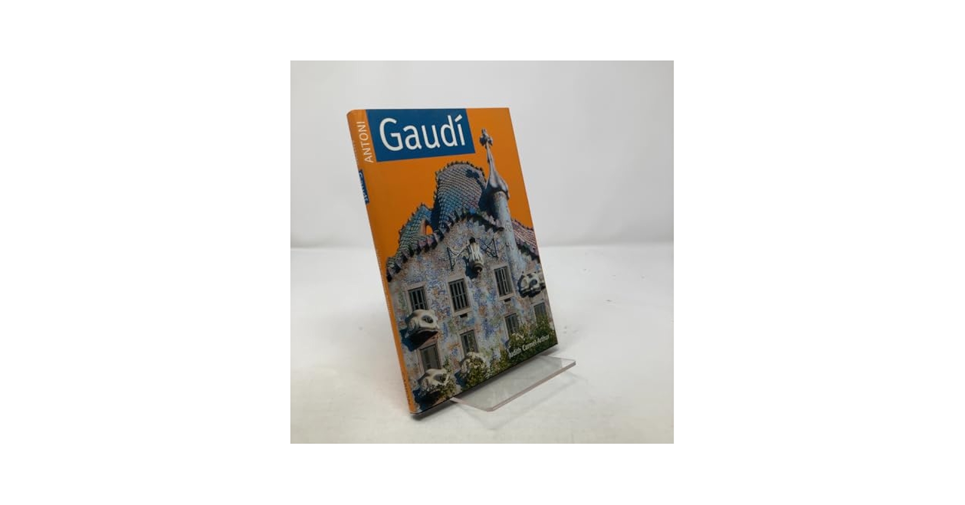 洋書 GAUDI THE VISIONARY Amazon | Antoni Gaudi: Visionary