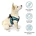 Gooby - Escape Free Easy Fit Harness, Small Dog Step-in Harness for Dogs That Like to Escape Their Harness, Turquoise, Small