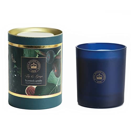 Kew Garden Scented Soy Wax Jar Candle Fragrance Fig & Grape 50 Hrs