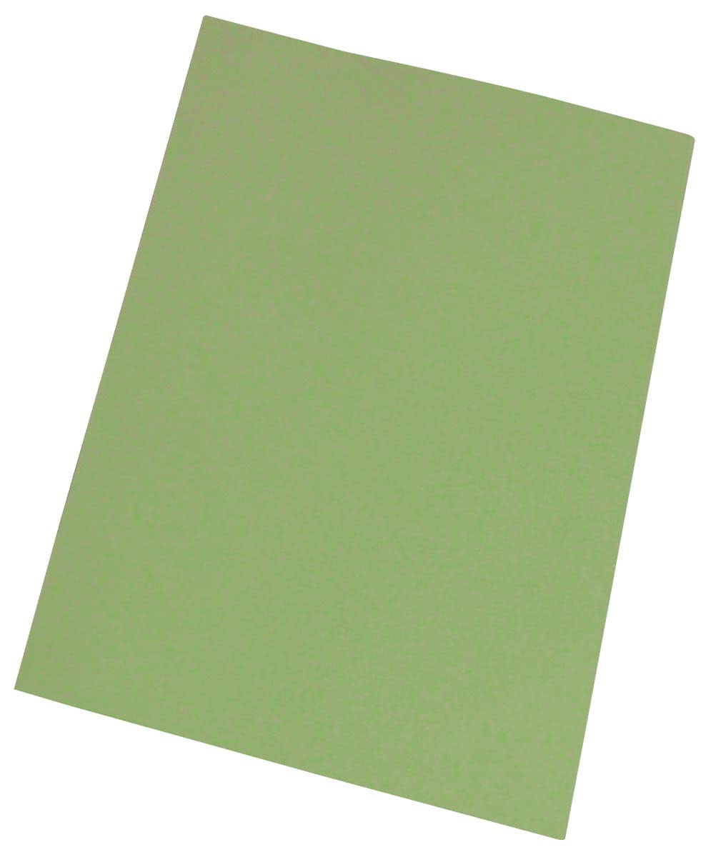 5 Star 903385 - Pack de 250 sous-dossiers 22 x 31, 60 g 5 Star 903385 - Pack de 250 sous-dossiers 22 x 31, 60 g