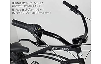 Amazon | 26インチ ビーチクルーザーフレーム＆ハンドル