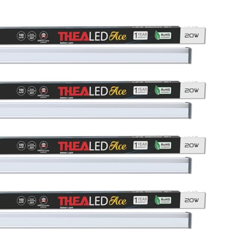 Panasonic 20W TheaLED Ace LED Batten, 20W Tube light for Living Room & Bedroom, Energy Efficient Batten for Home, 6500K Cool Day Light Batten (Pack of