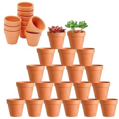 HDKAJL 40 Pezzi Vasi Per Piante, Vasetti Per Piantine, Mini Vaso Terracotta Con Foro Di Scarico, Vasi In Terracotta Fioriera In Ceramica Per Piante Succulente Di Cactus Per Interni/Esterni