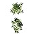 FLAMEER 2Pcs Reptile Terrarium Ivy Vines Vivarium Ornament Artificial Leaves Plant Decor (30cm/11.8inch & 40cm/15.75inch)