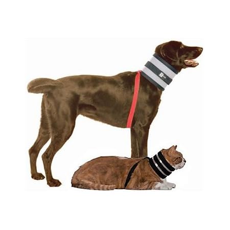 Pet Supplies : BiteNot Collar, 6\