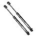 BOXI 2pcs Rear Glass Window Lift Supports Gas Struts Shocks Gas Spring Dampers Fit for Nissan Pathfinder 2005-2013 Sport Utility 4-Door / 6607 SG325028 90460-ZL90A