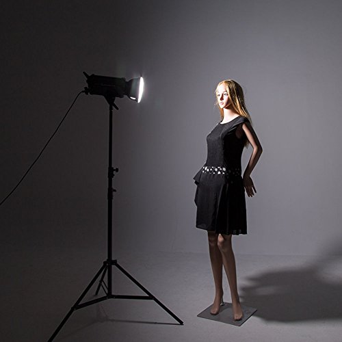 Diffuseur de réflecteur standard 7" AD-R6 pour flash stroboscopique AD600B AD600BM - 7
