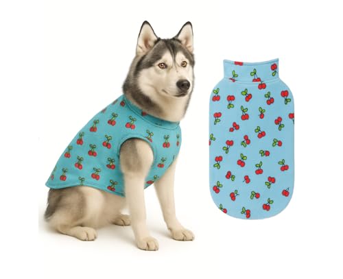 Image of The Pets Company Dog Winter Coat Jacket, Cloth, Windproof, Light Weight, Washable, Ultra Warm Thick Fleece Lined Dog Vest for Cold Weather Protection, (Sky Blue Cherry, Med - Large - 22 Inch)
