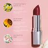 Honeybee Gardens Truly Natural Long Lasting Lipstick Bermuda Matte Medium Coral Pink Cream Finish, Hydrating Moisturizing Lip Color with Organic Oils Vegan Gluten-Free Cruelty-Free Lip Care